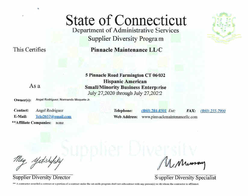 Pinnacle Maintenance, Home Improvements